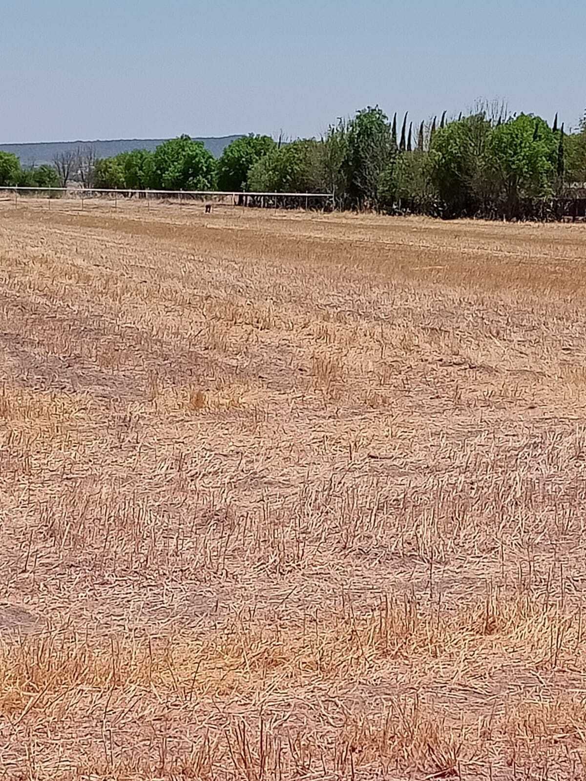 9 de 10