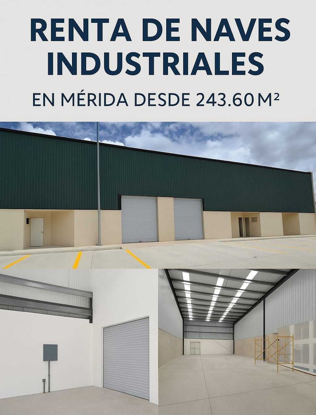 5 de 11