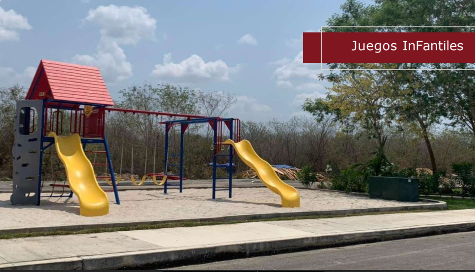 20 de 24