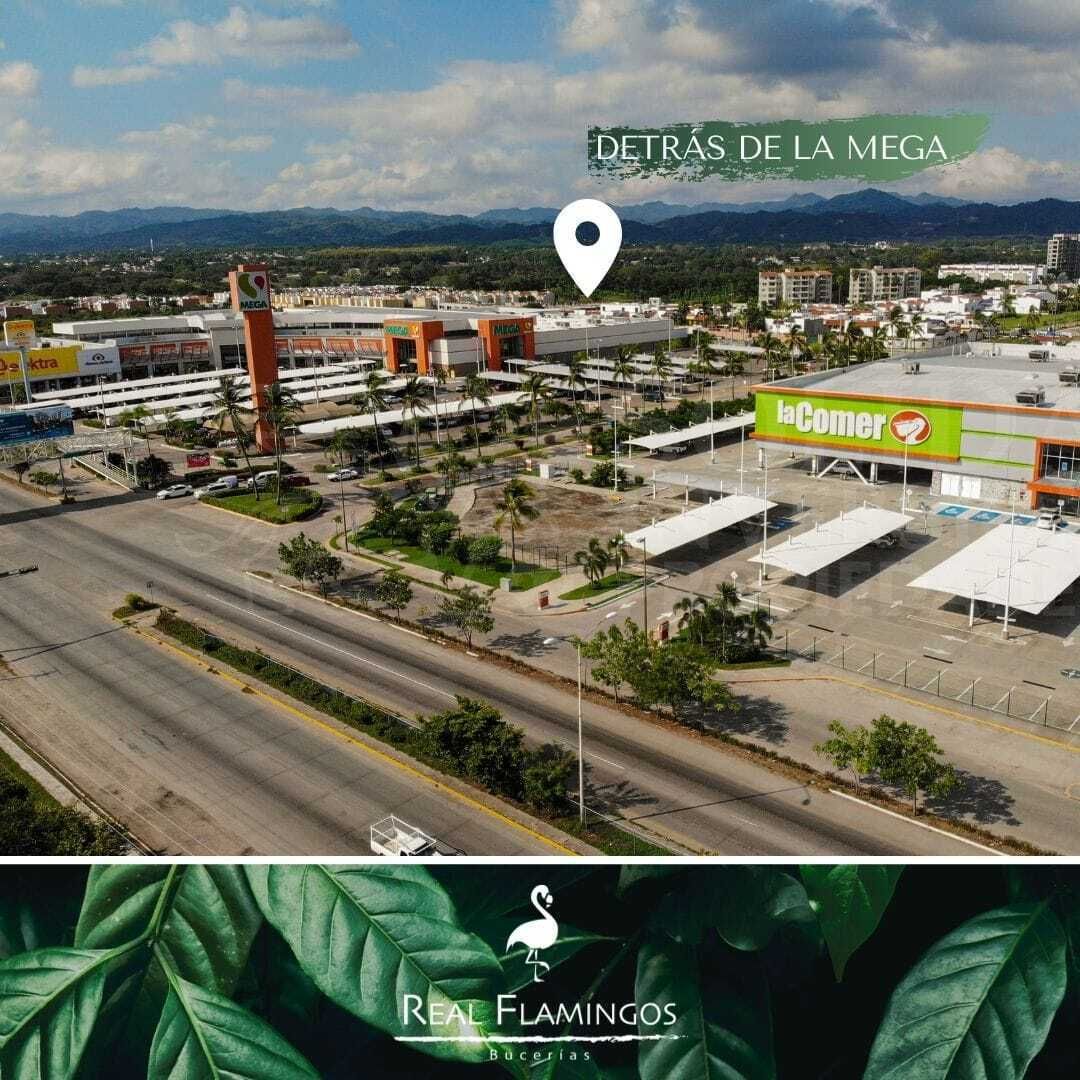 7 de 7