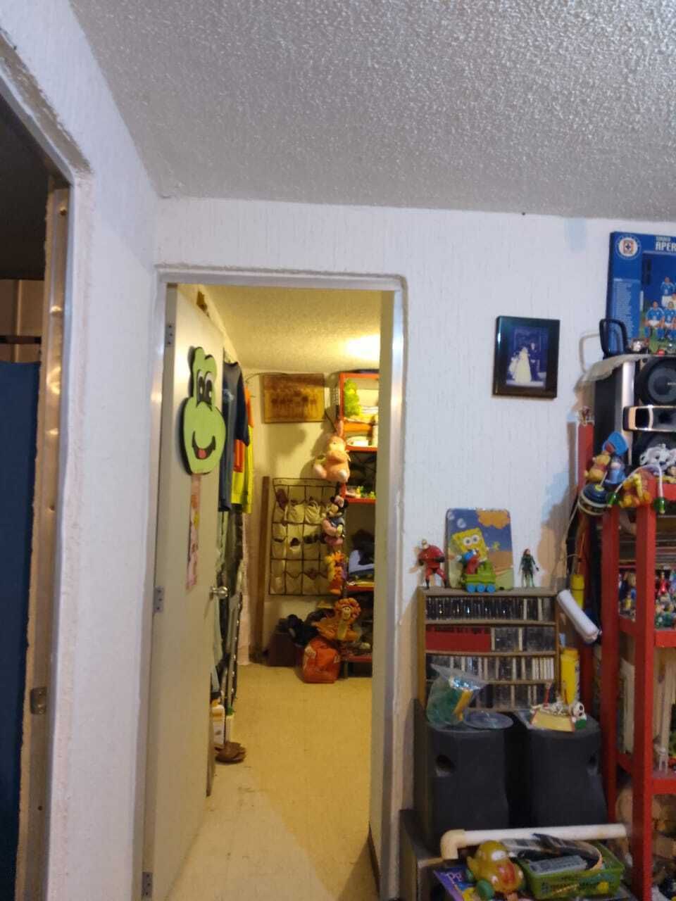 6 de 12