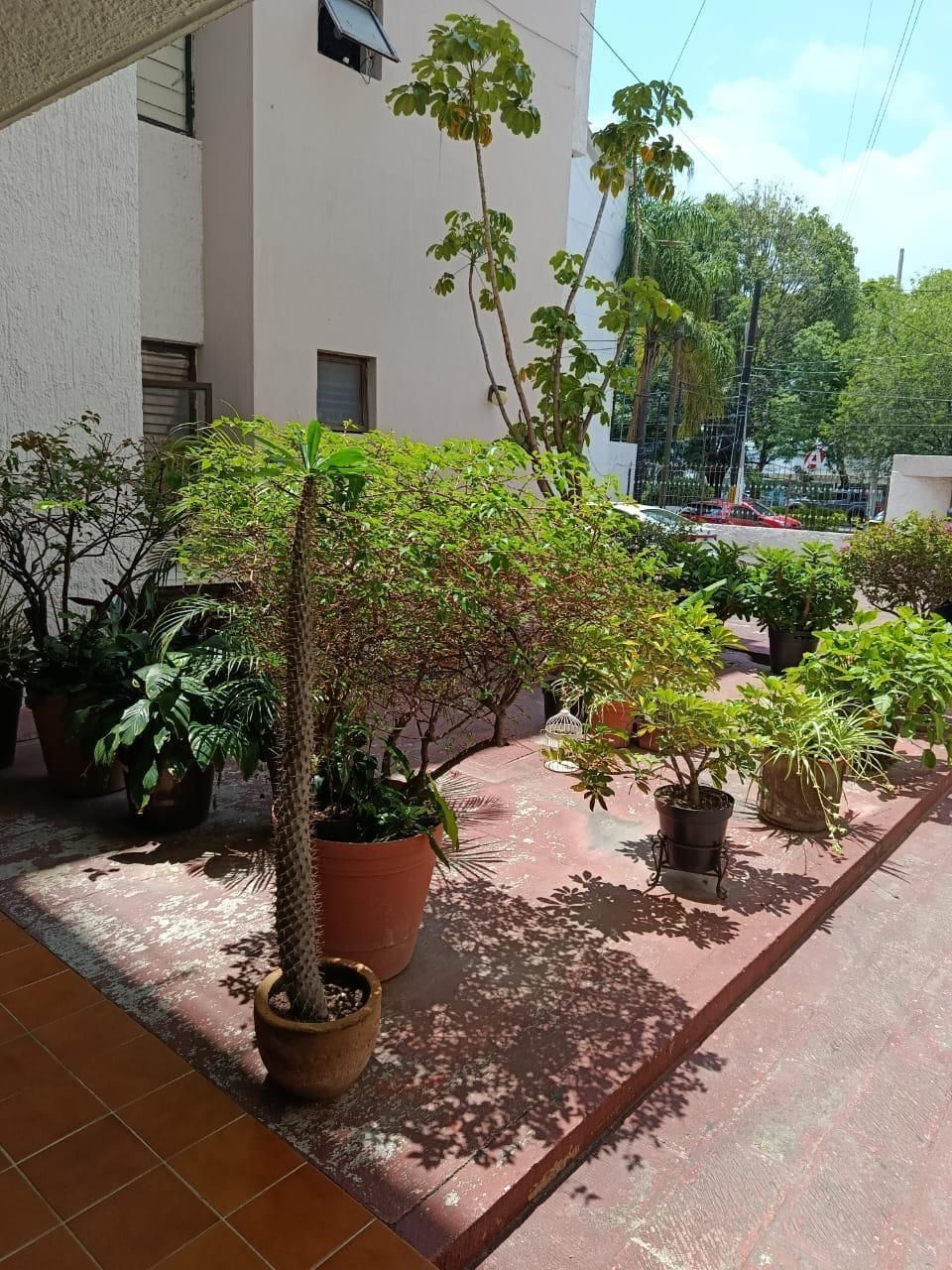 4 de 25