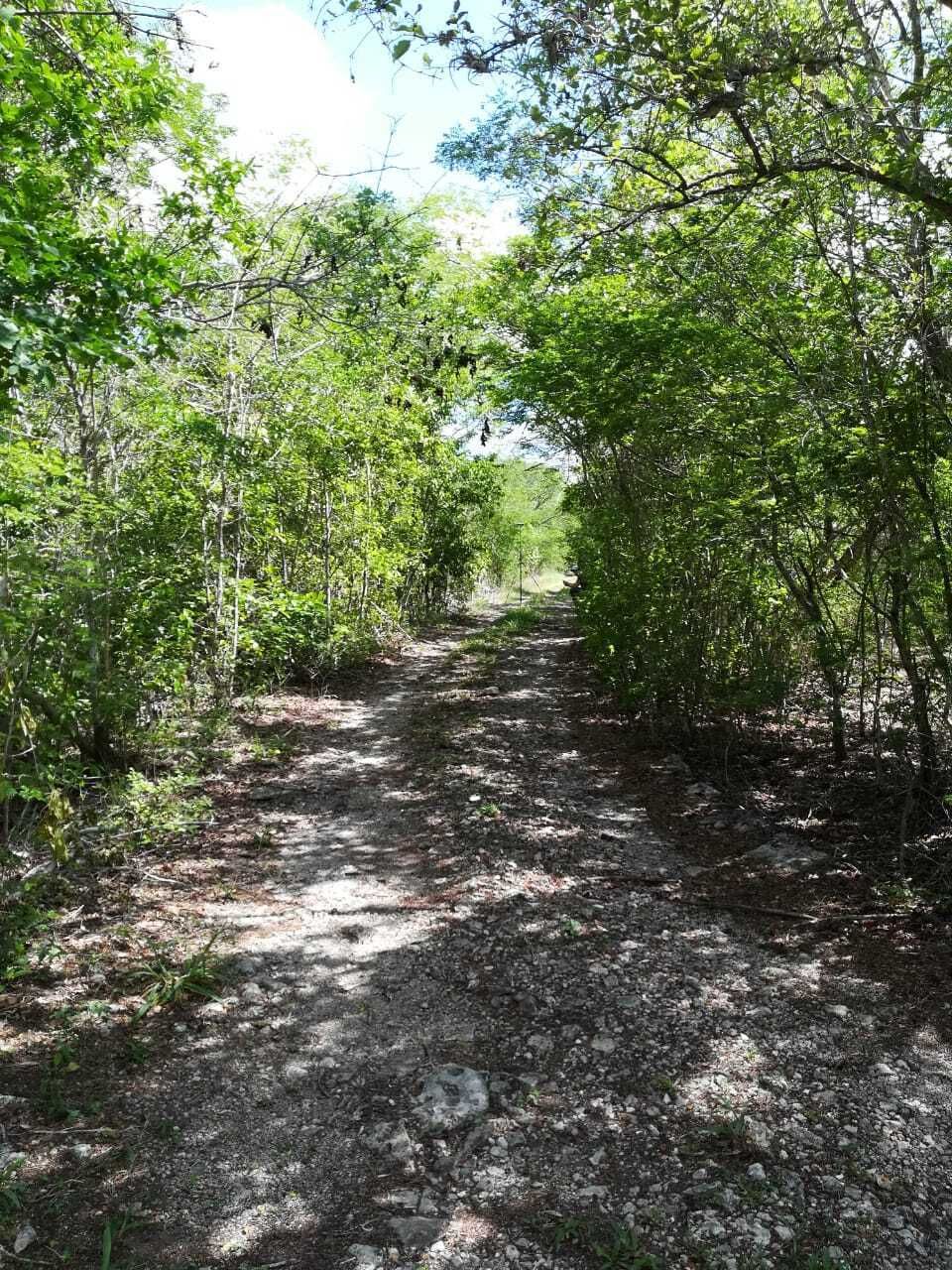 1 de 4