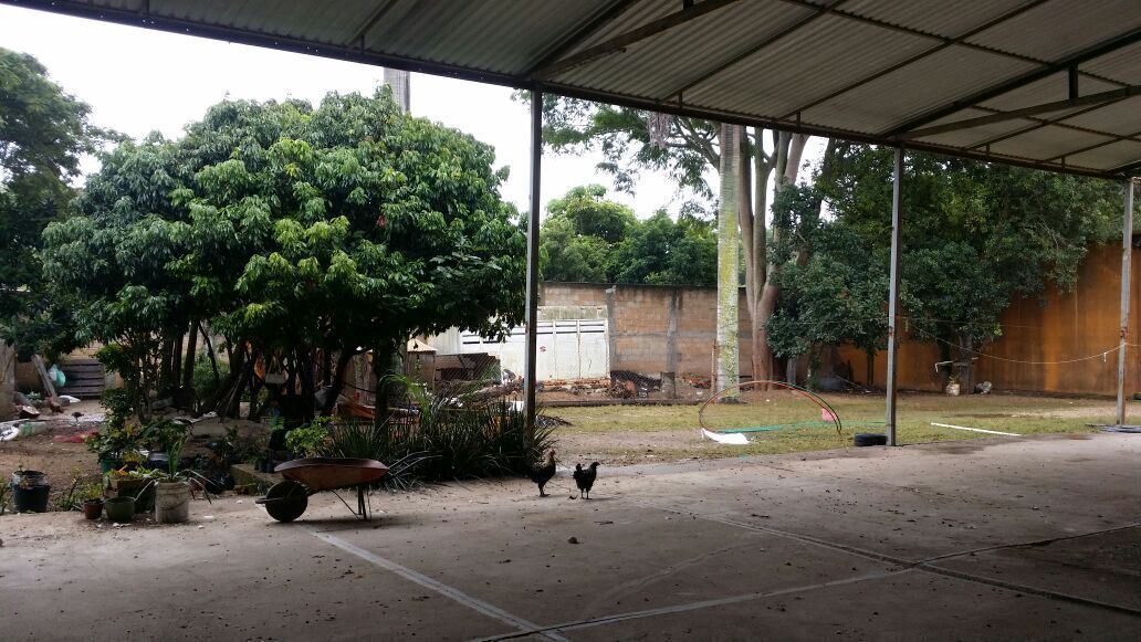 3 de 8