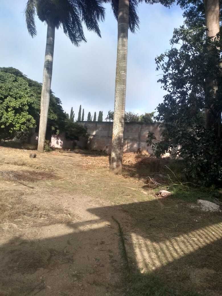 5 de 8