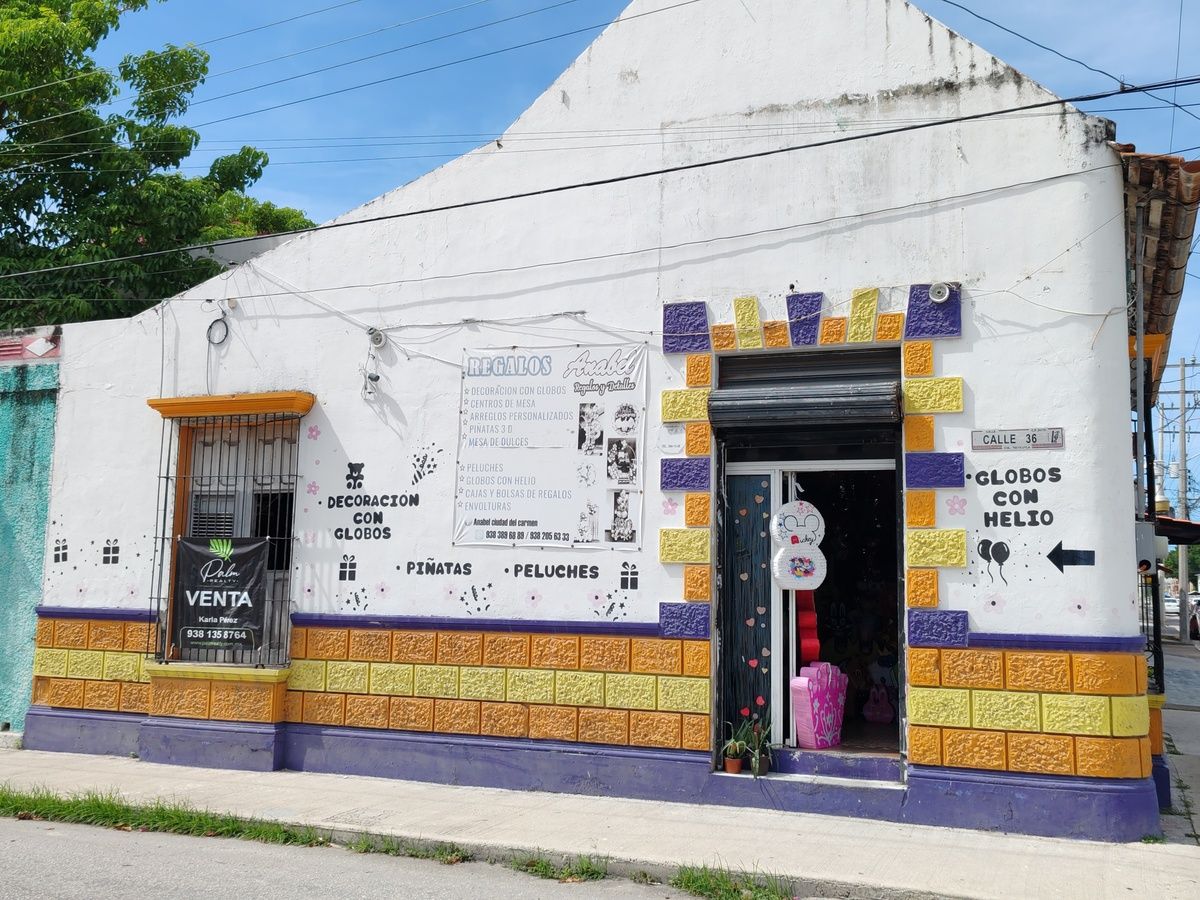 5 de 11