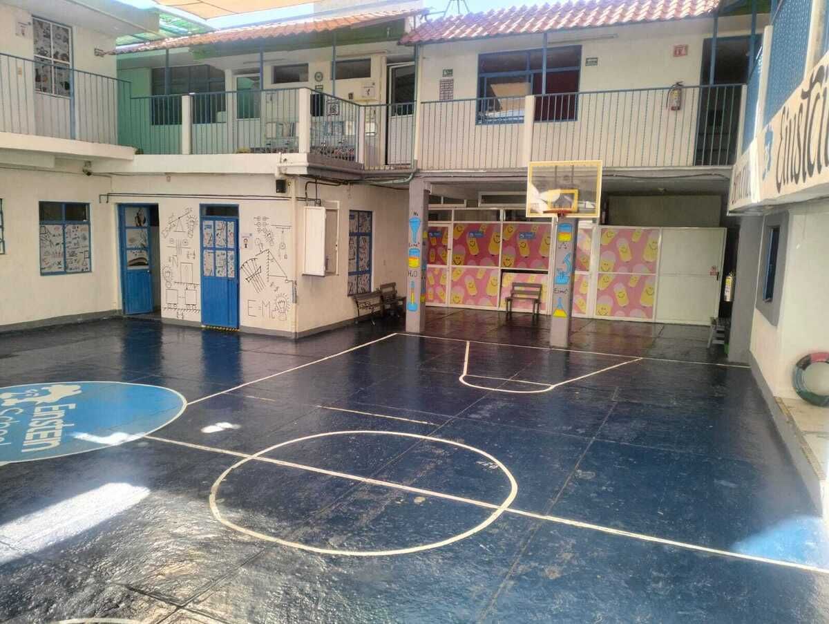 11 de 11
