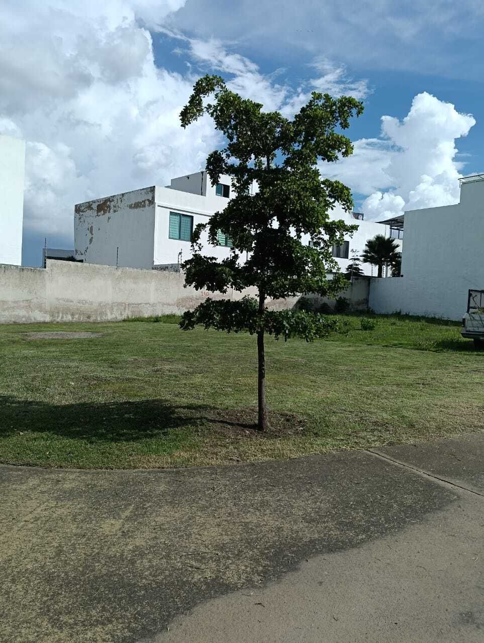1 de 12