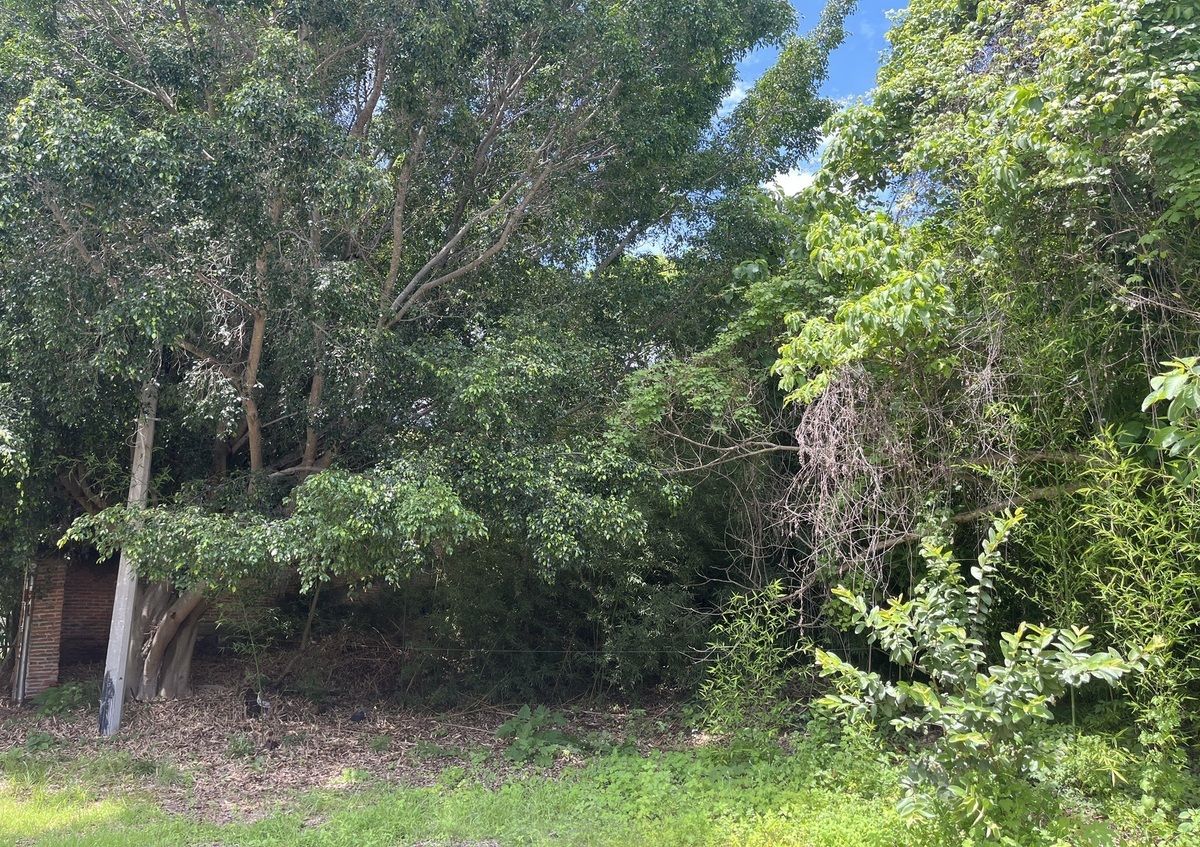 5 de 5