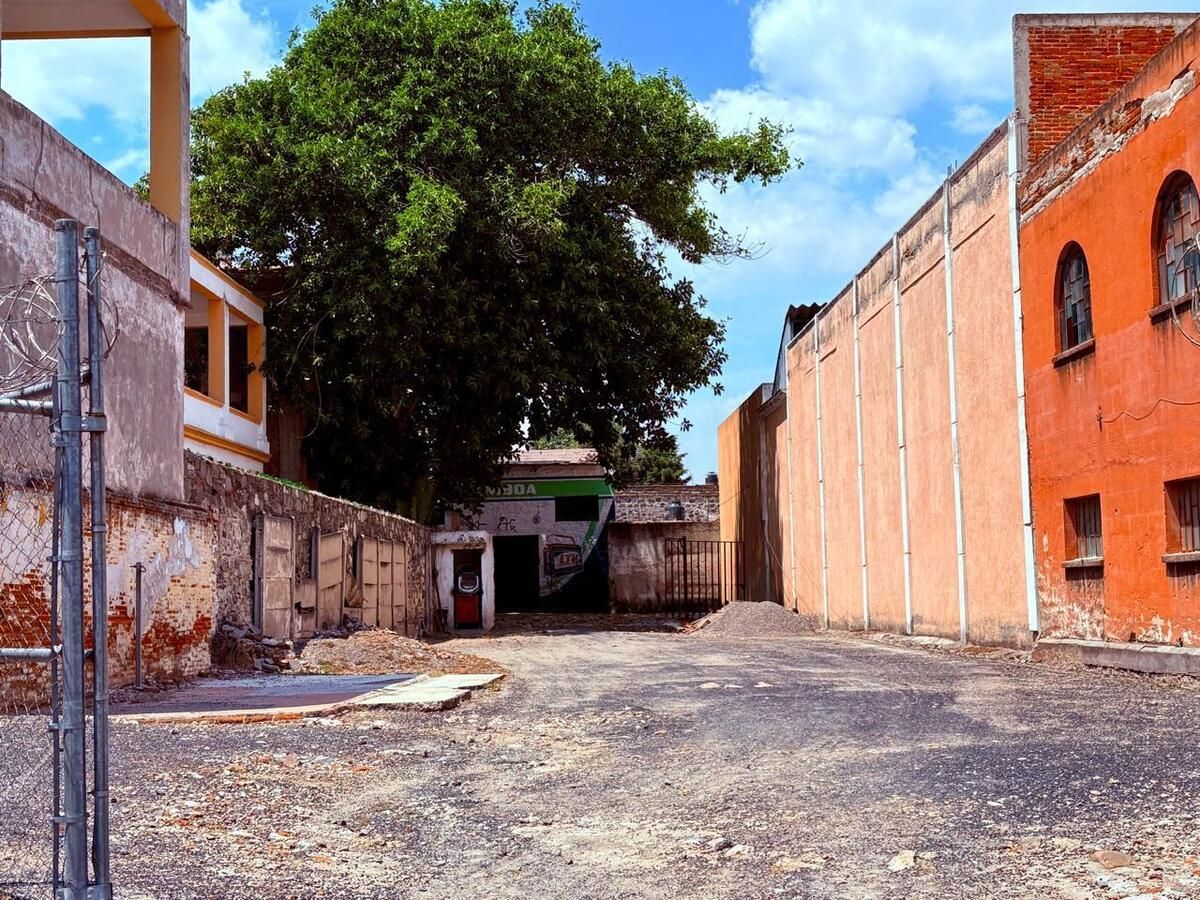 3 de 6