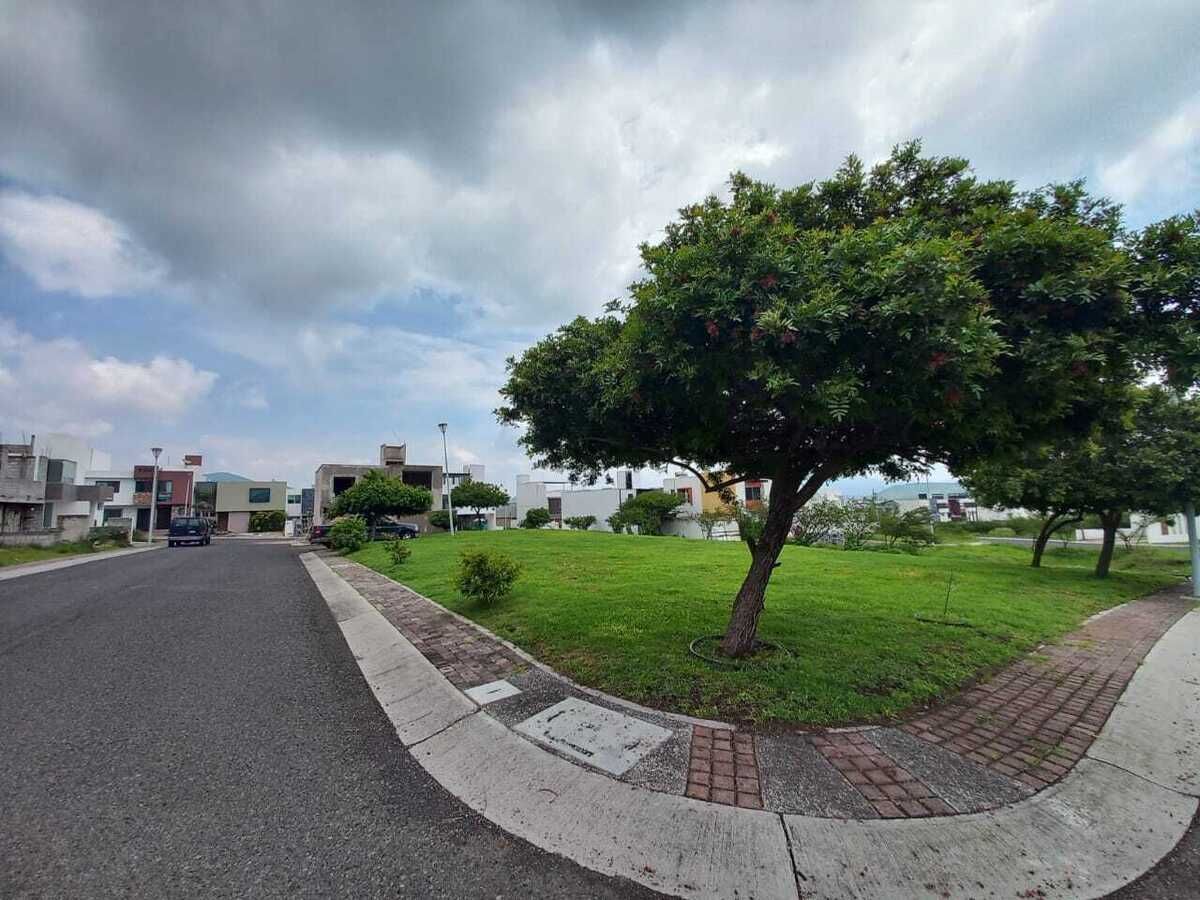 6 de 36