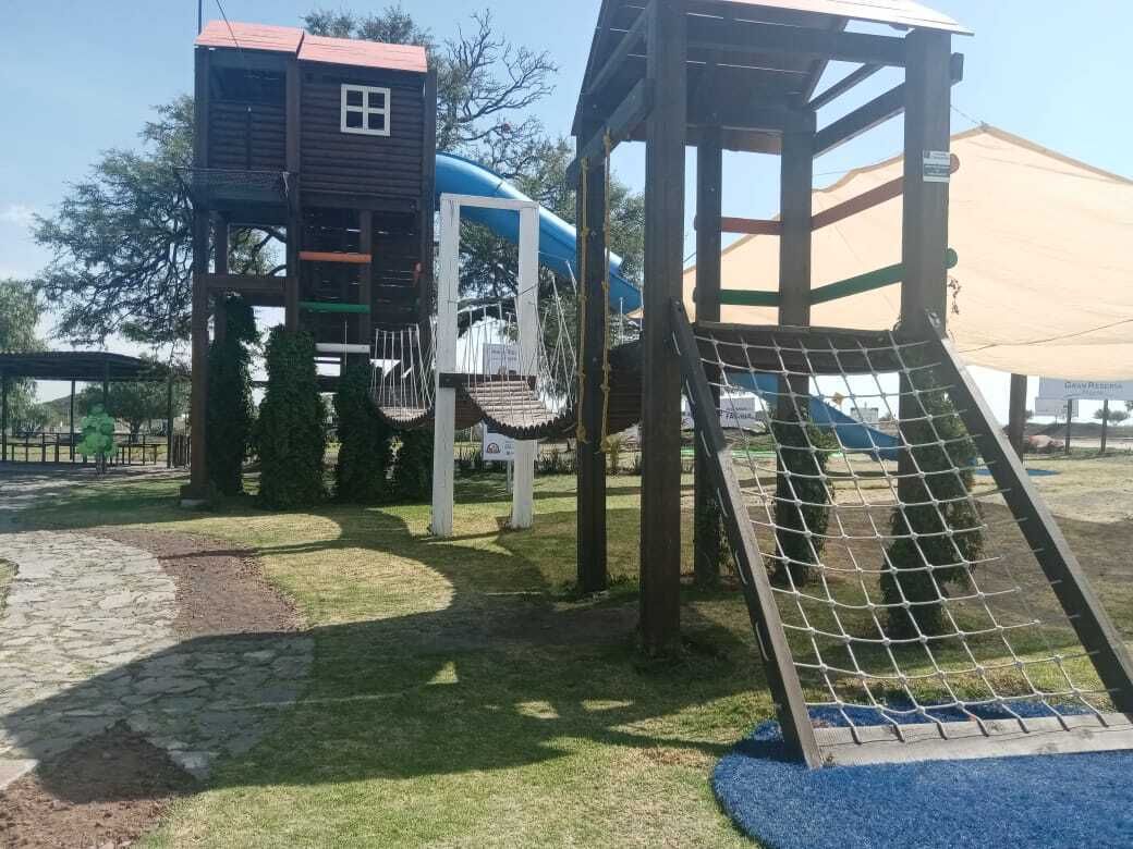 50 de 50