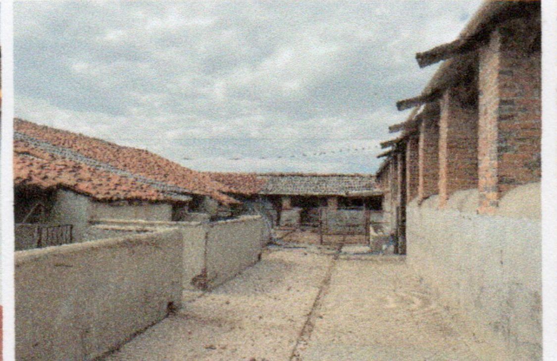 5 de 24