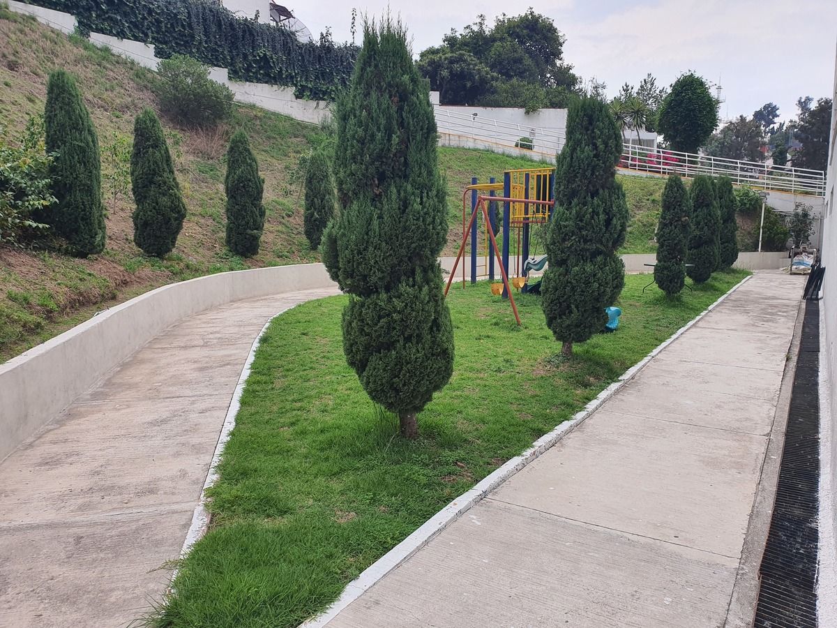 6 de 9