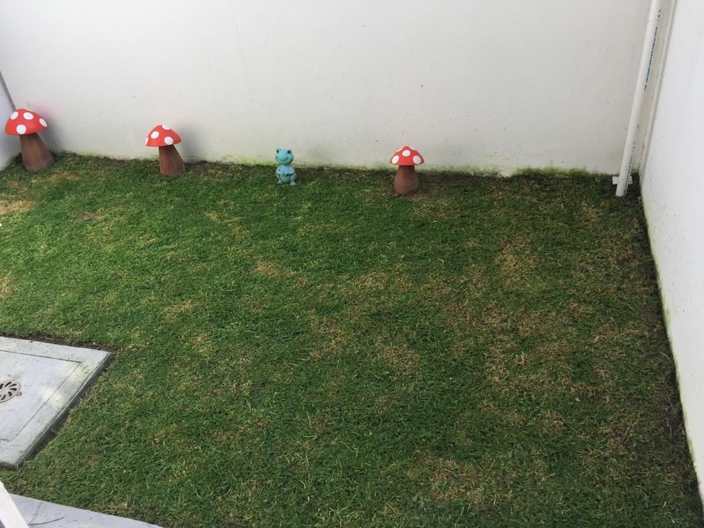 15 de 15