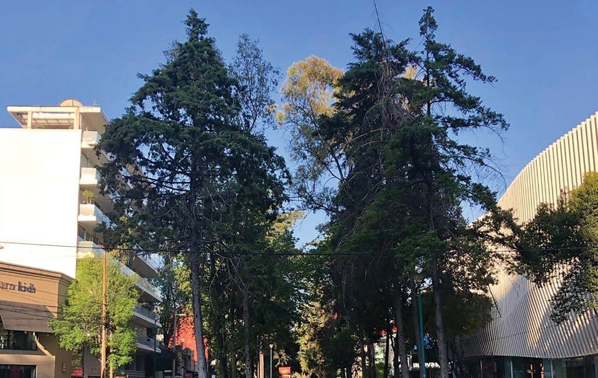 5 de 5