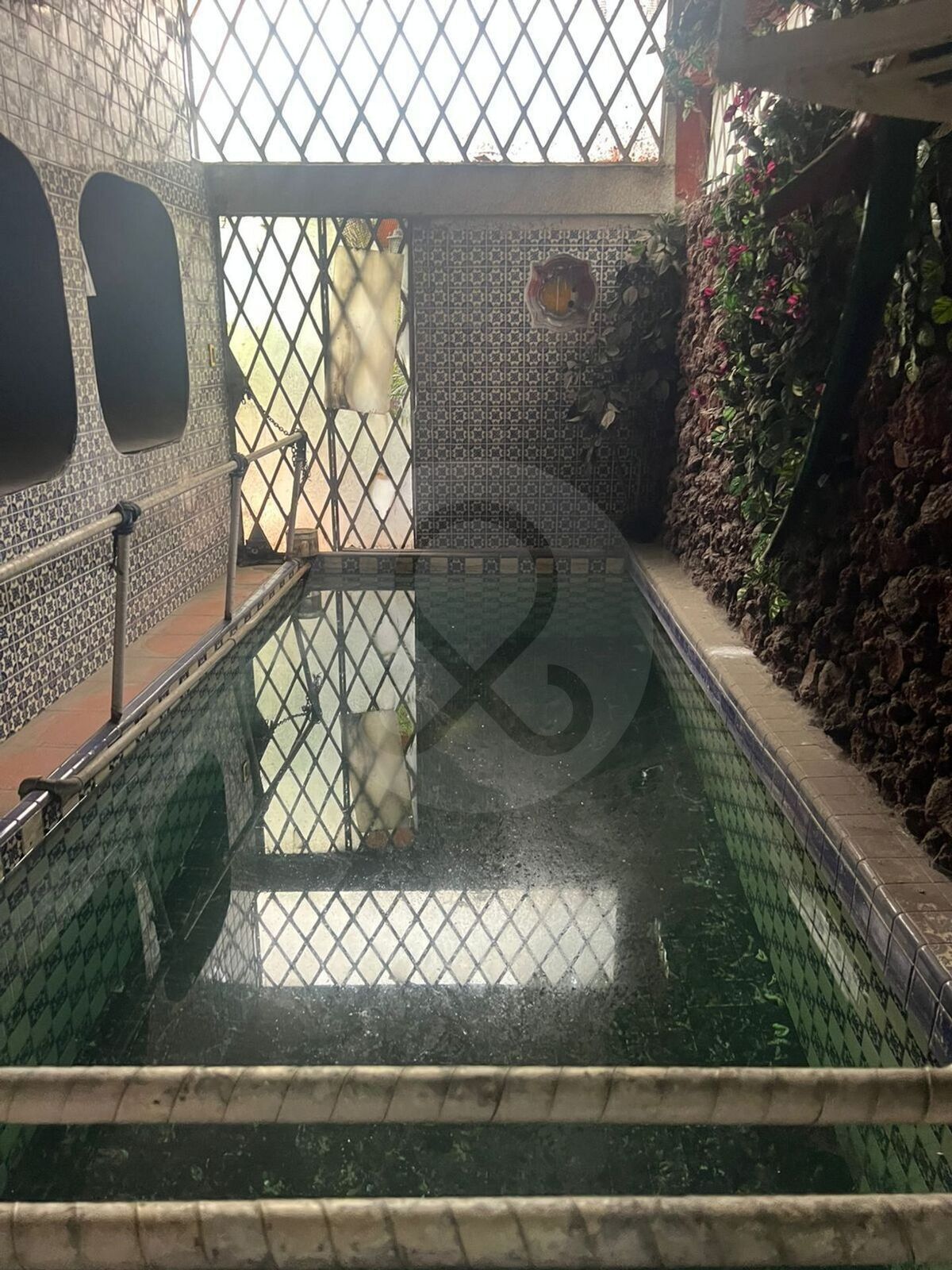 10 de 17
