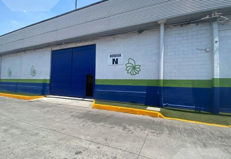 4 de 8