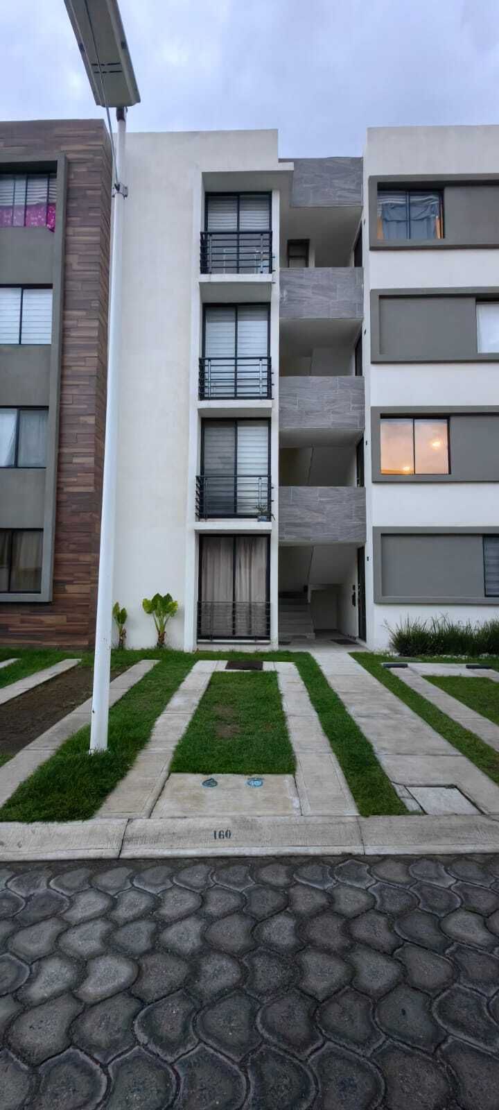 2 de 11
