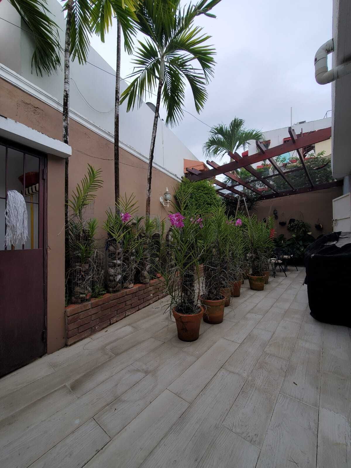 5 de 23