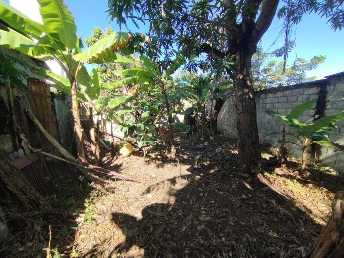 5 de 8