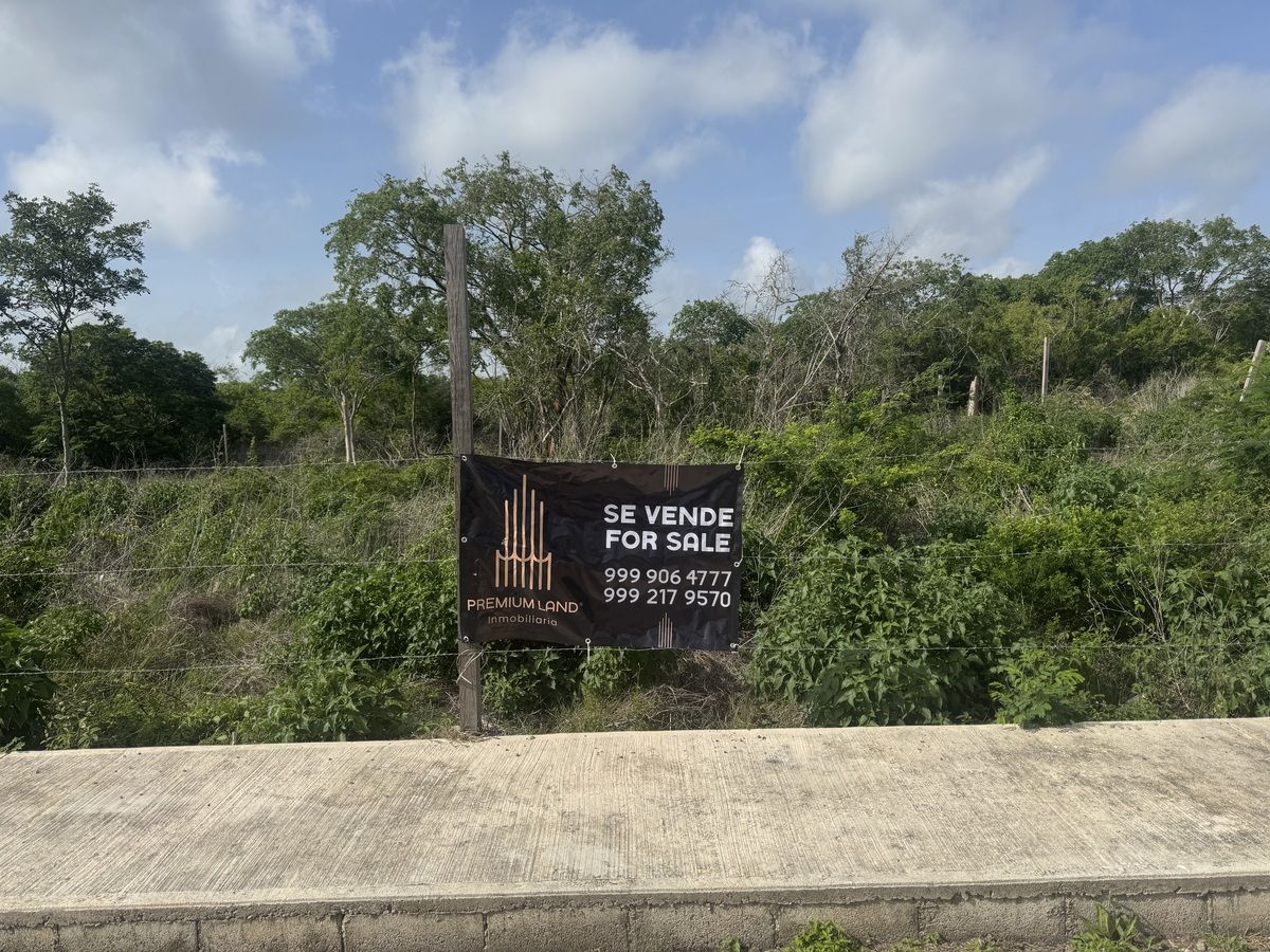 1 de 15