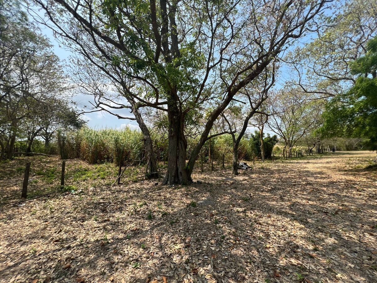 TERRENO EN SABANCUY KM 67 - foto 2