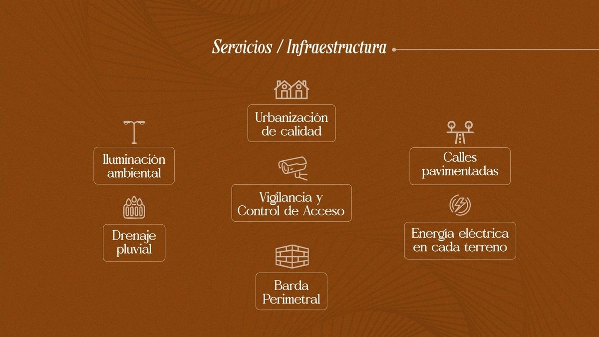 10 de 13