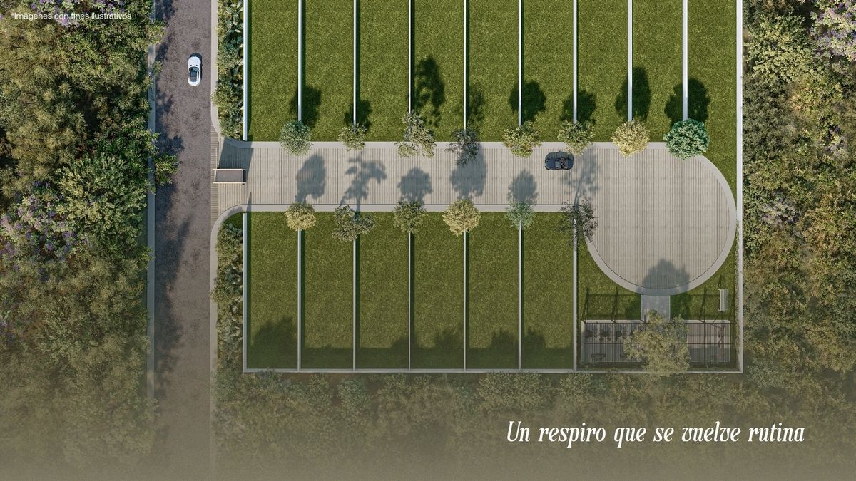 11 de 13