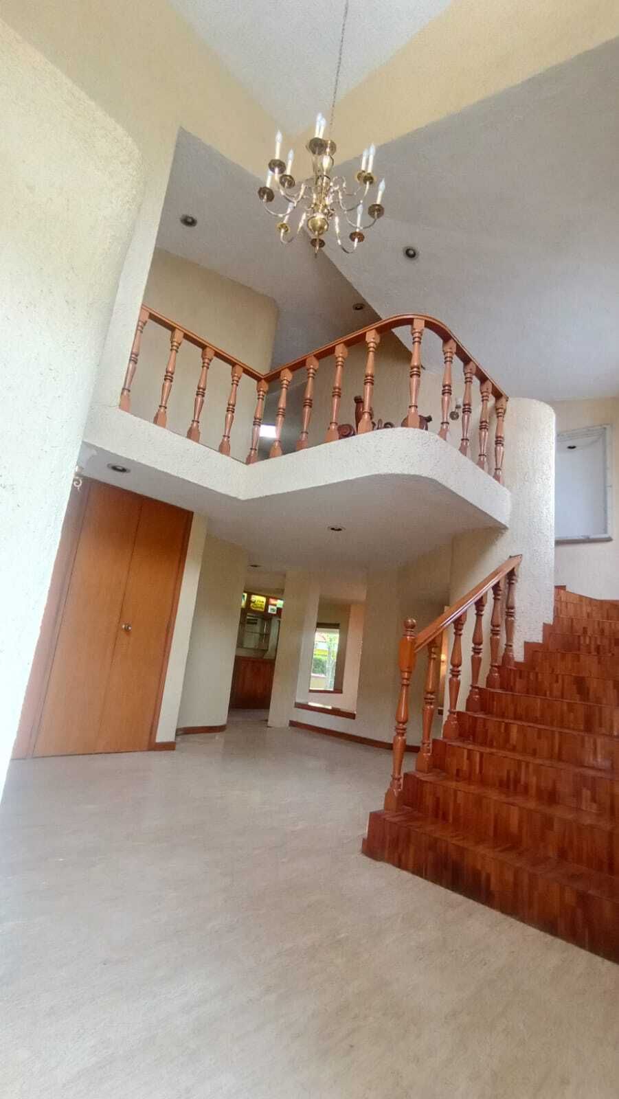 6 de 23