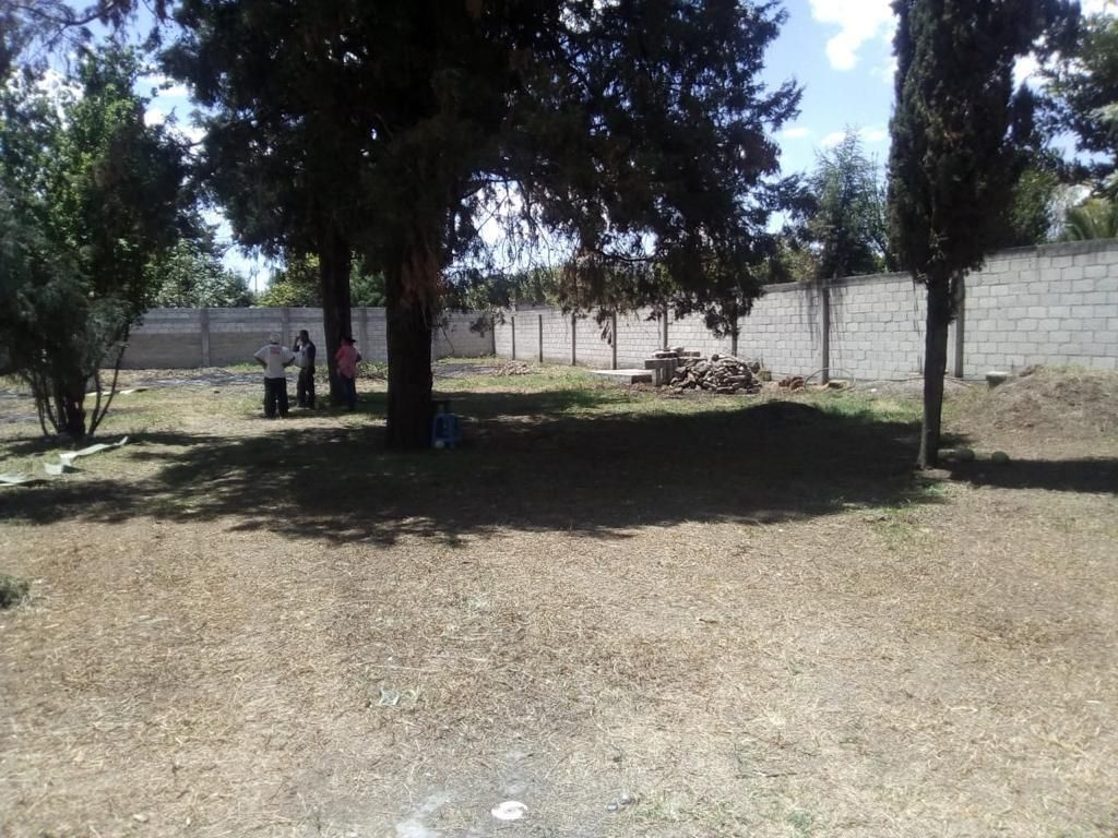 Imagen 3 de 10