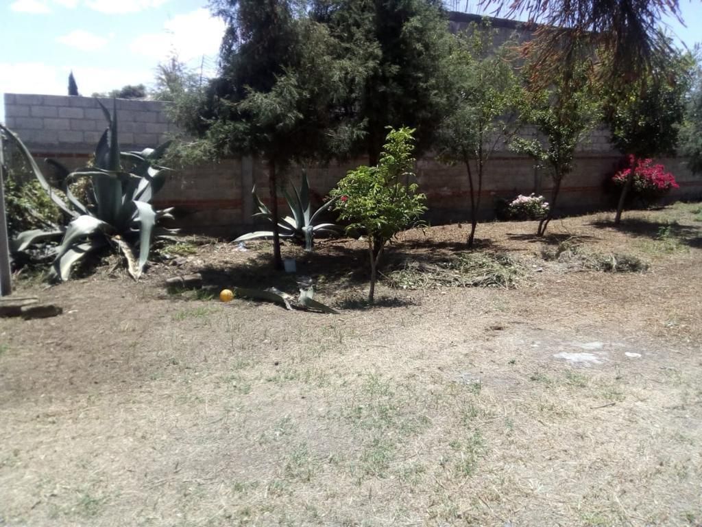 Imagen 8 de 10