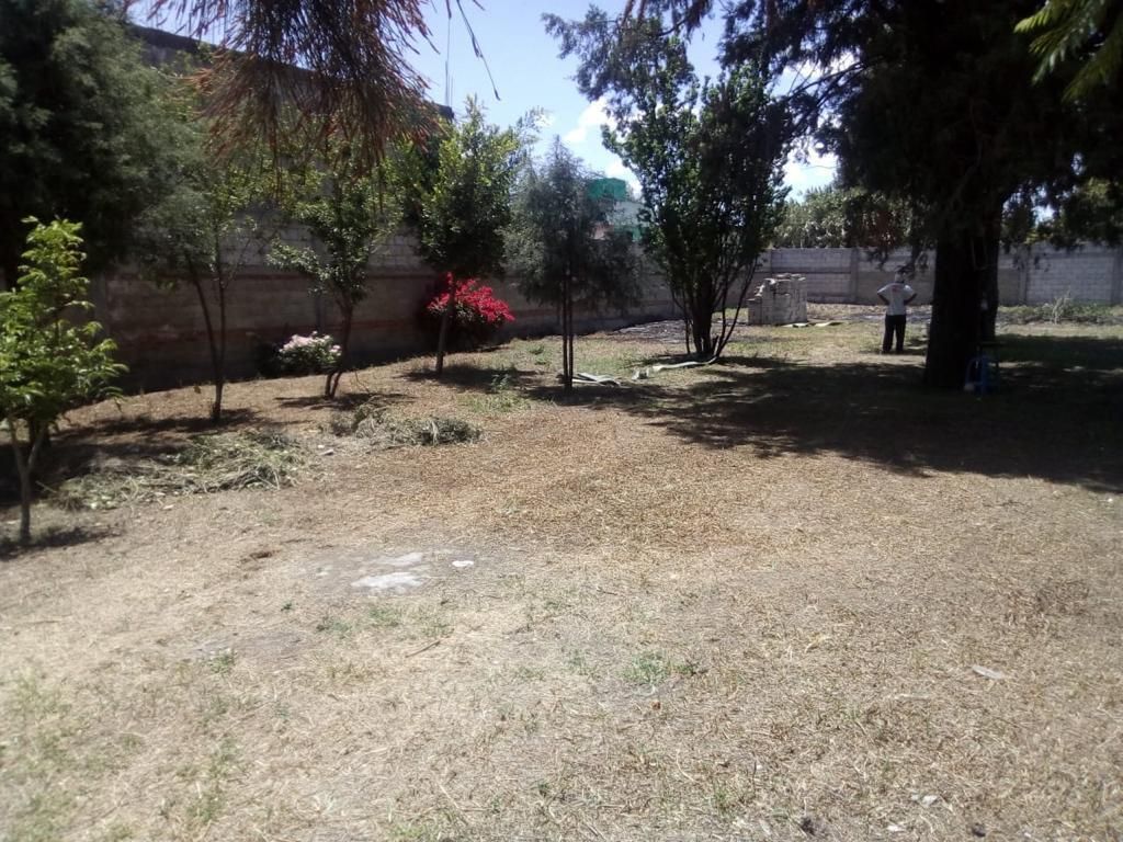 Imagen 9 de 10