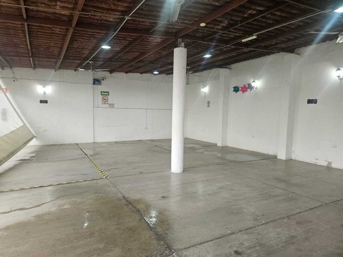 3 de 13