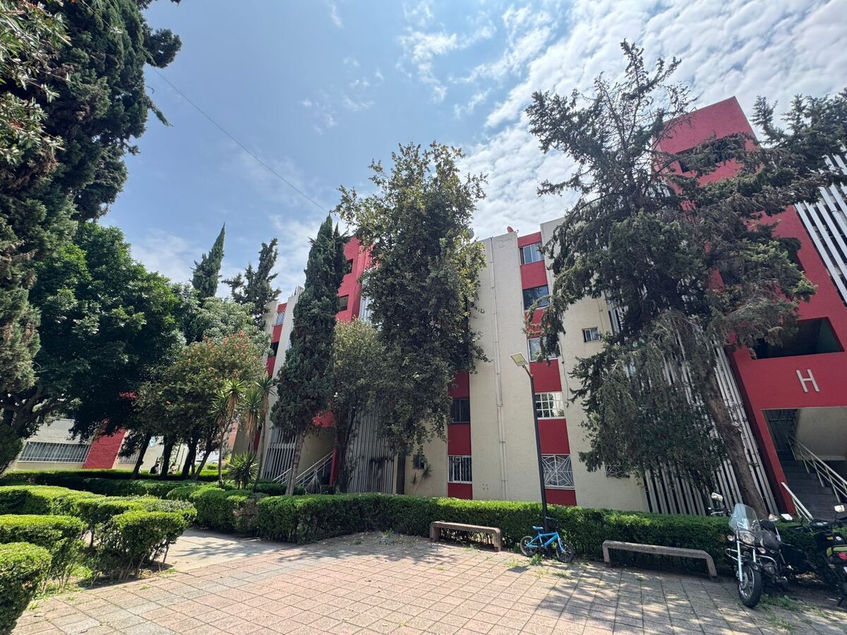4 de 19
