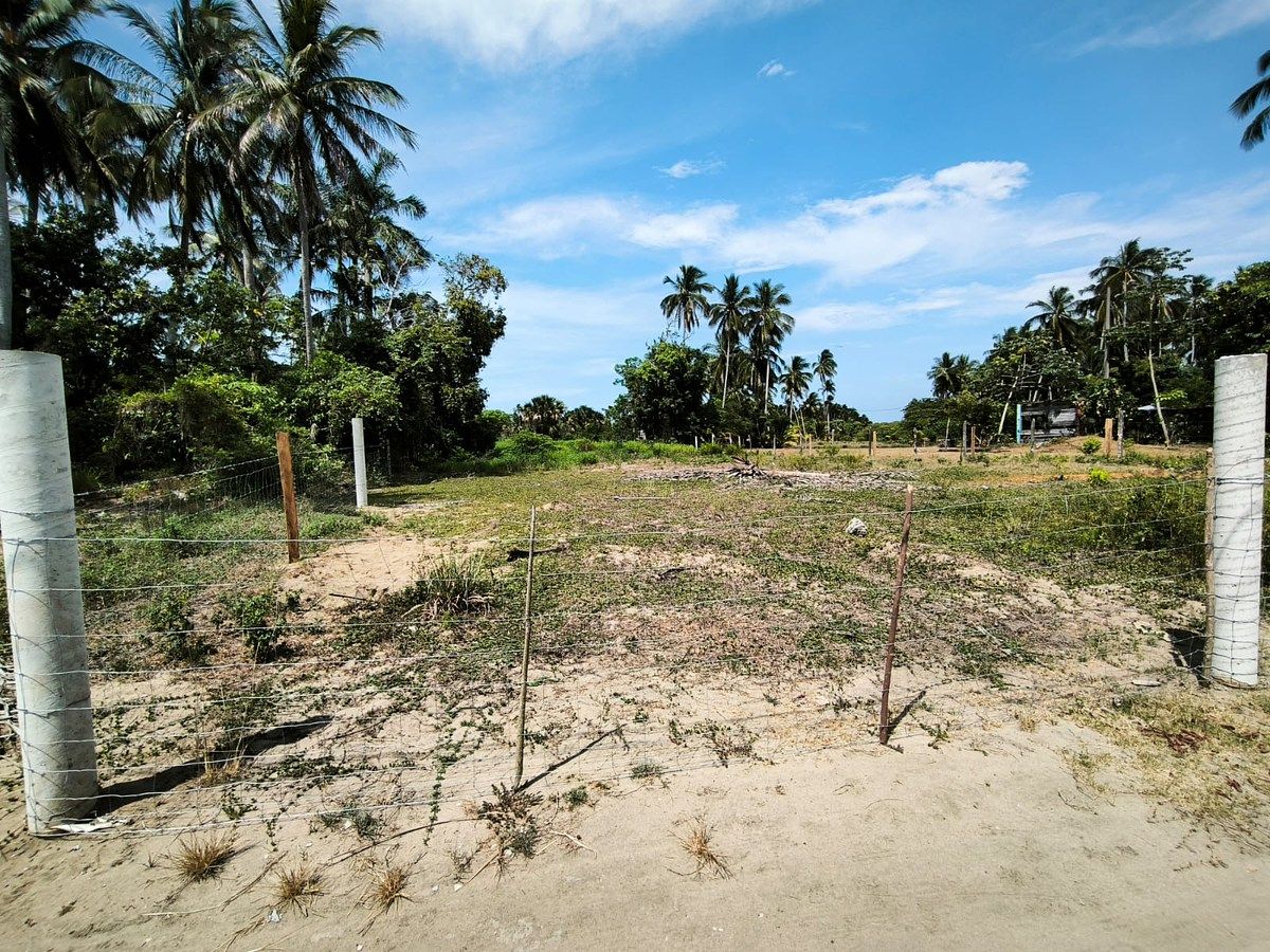 Lote em Pénjamo, Paraíso, foto 3 de 4