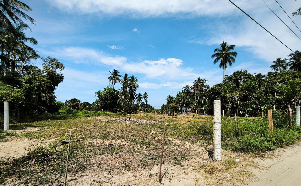 Lote em Pénjamo, Paraíso, foto 4 de 4