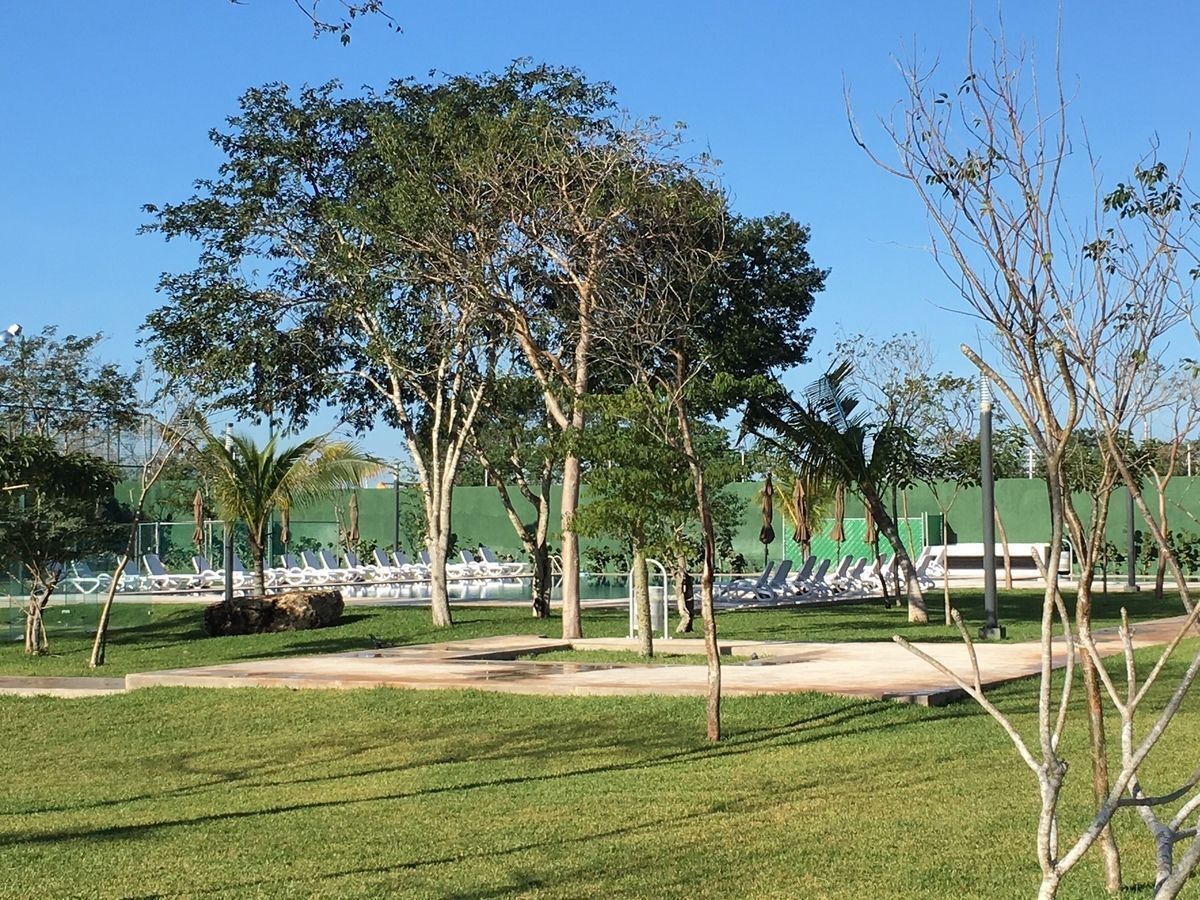 3 de 12: Alberca y Asoleadero