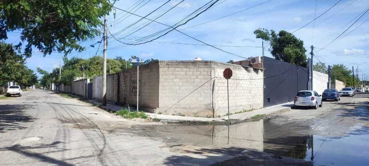 5 de 6
