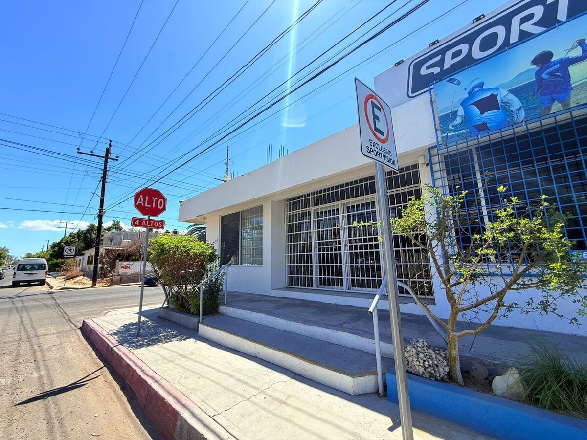 1 de 6
