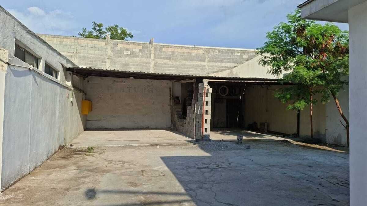 3 de 11