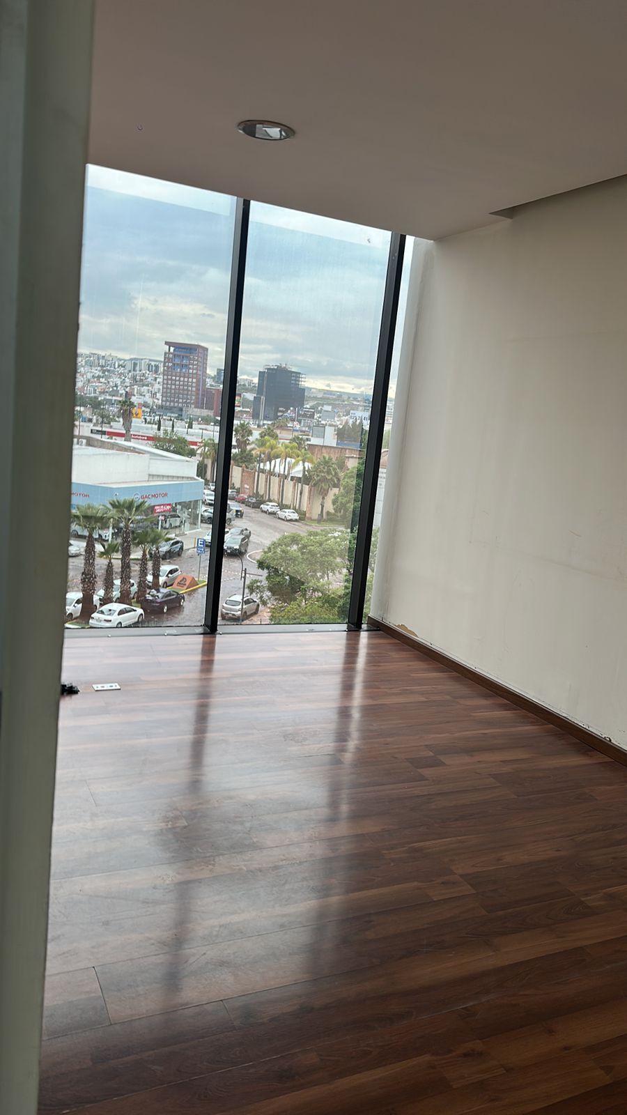 6 de 11