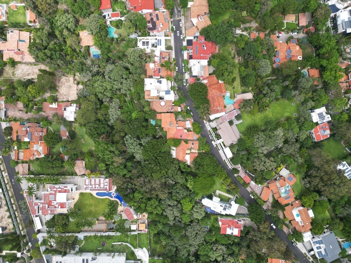 5 of 25: Area donde se aprecia el bosque