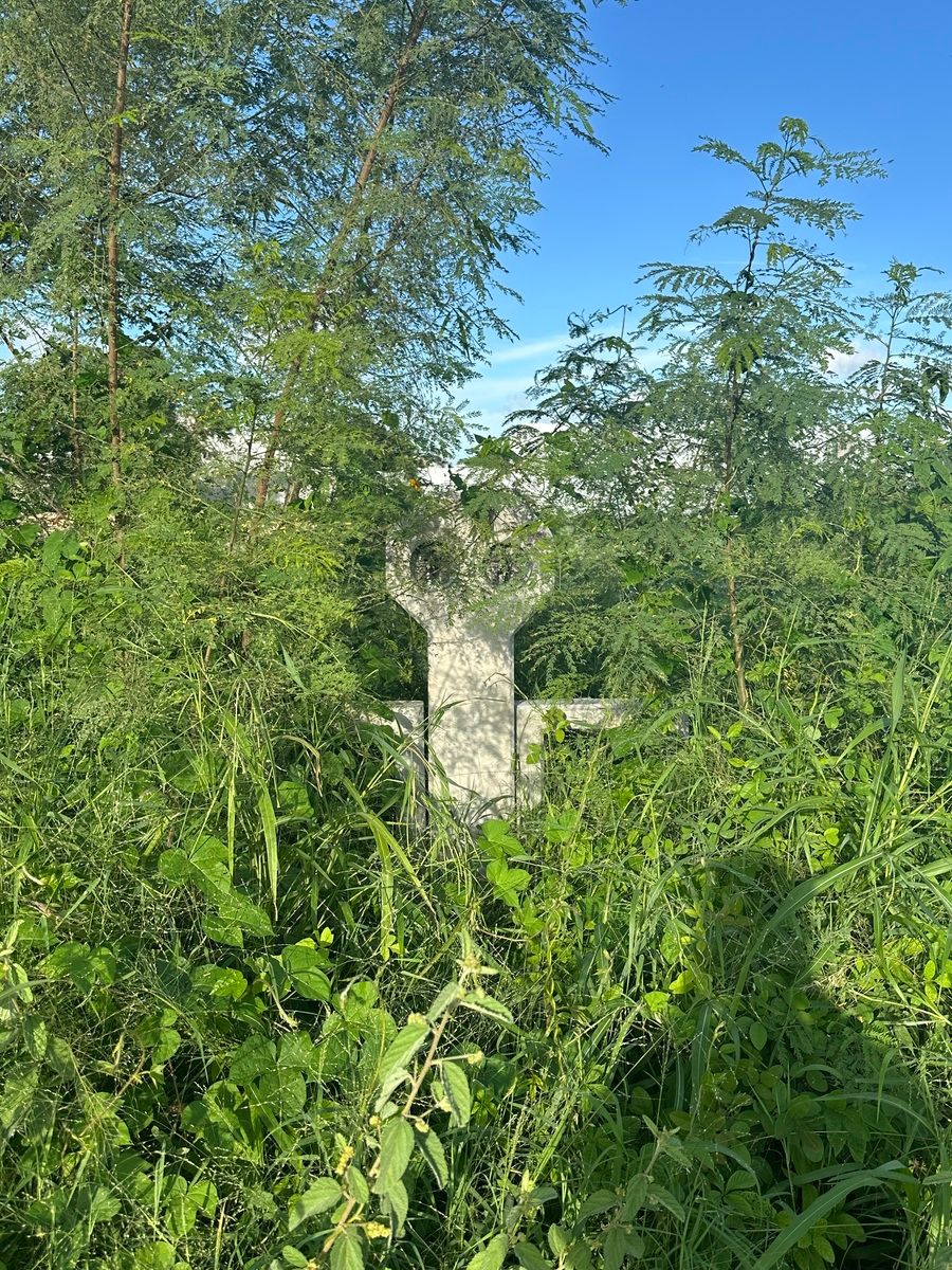 4 of 7: Con factibilidad de servicios como agua potable y luz