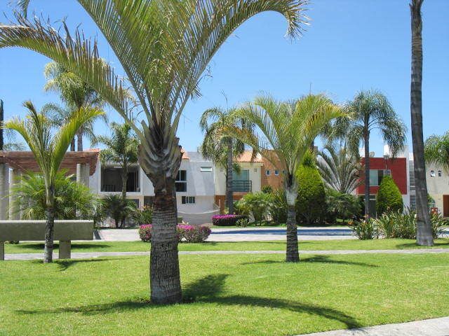 1 de 25