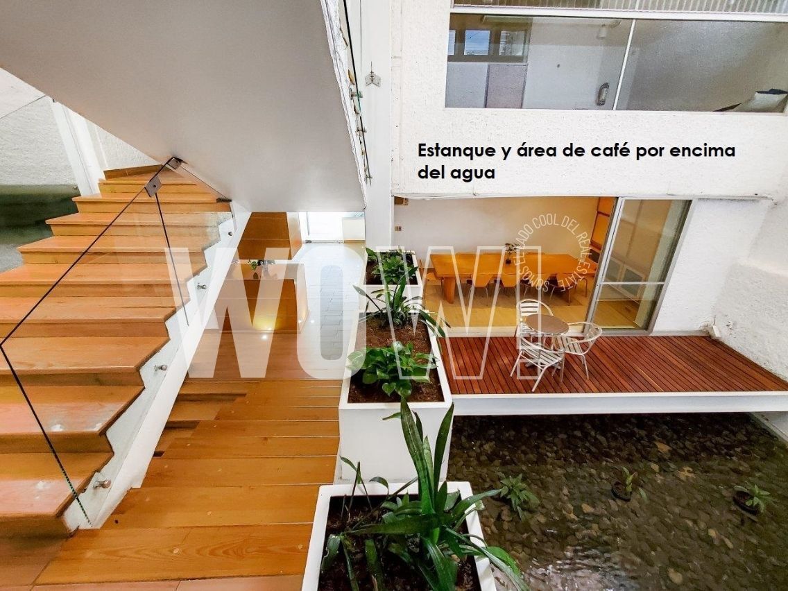 Imagen 6 de 10