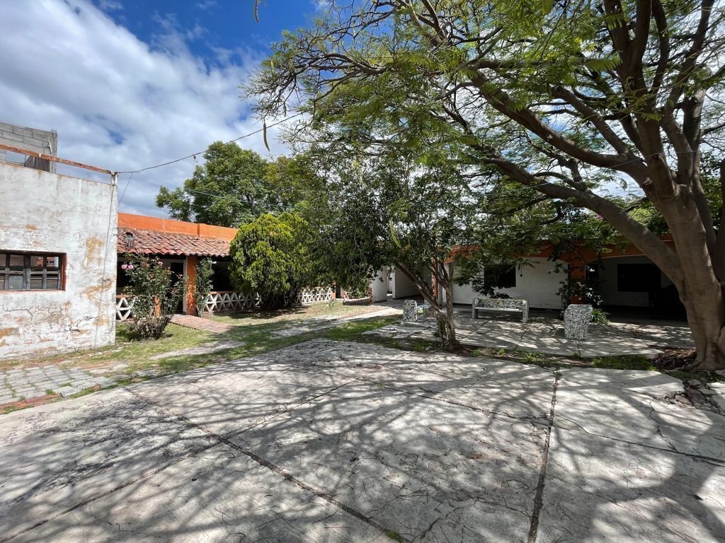 4 de 19