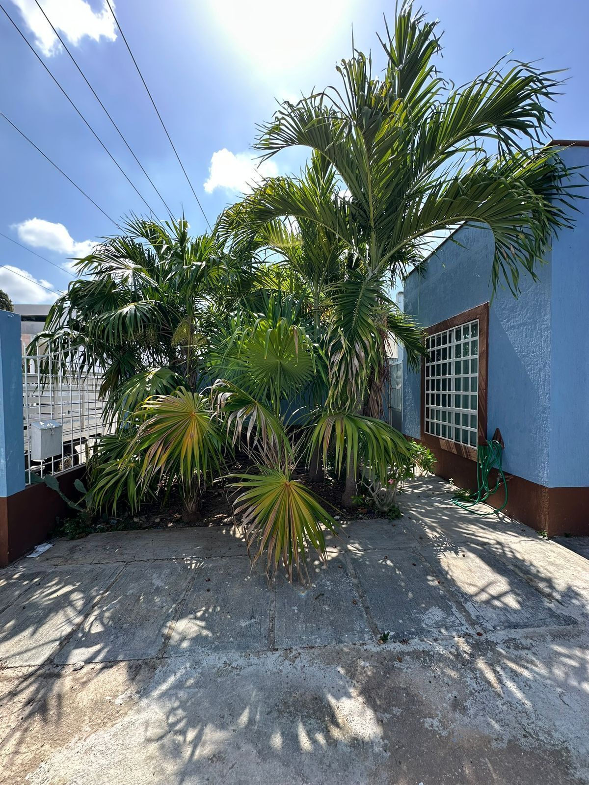 3 of 19