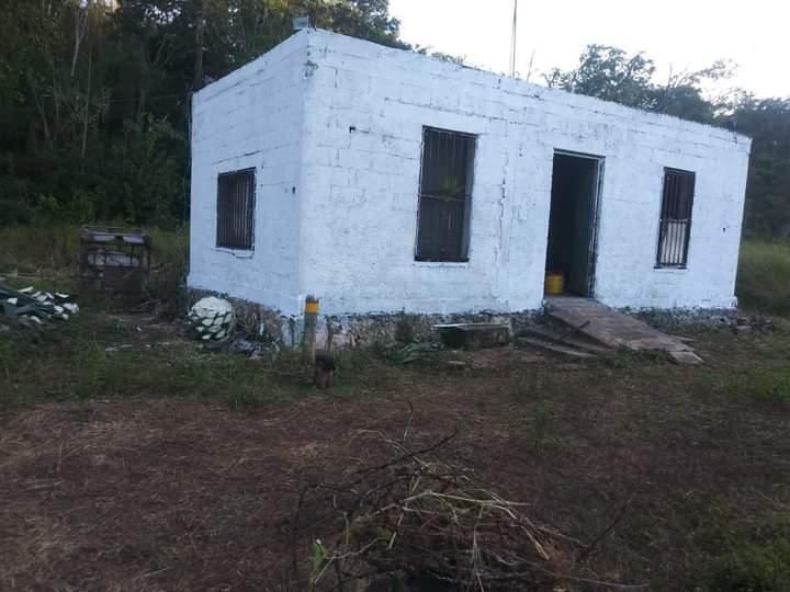 1 de 12