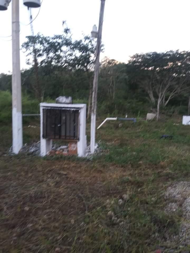 6 de 12